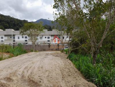 Terreno para Venda, em Caraguatatuba, bairro Massaguau