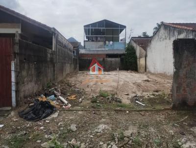Terreno para Venda, em Caraguatatuba, bairro Massaguau